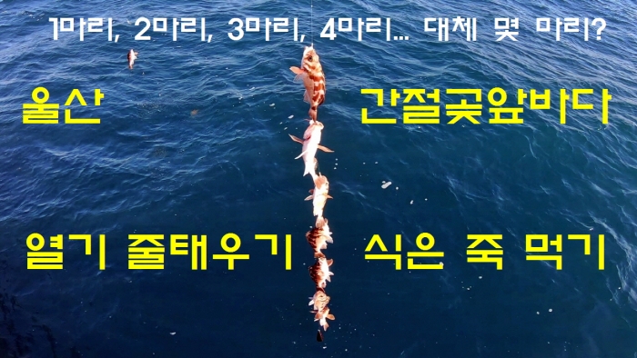 20191209_212431.jpg