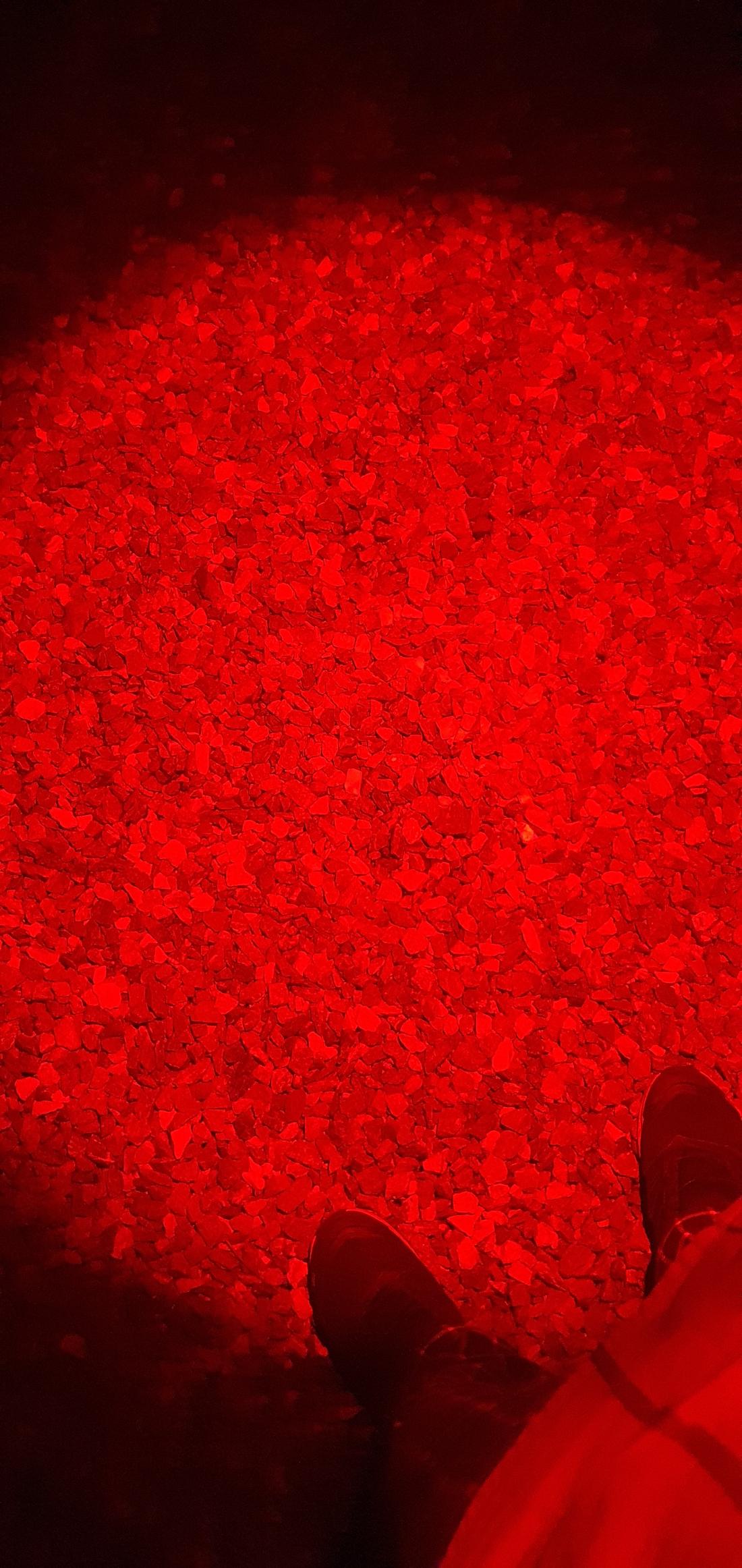 20210525_210622.jpg
